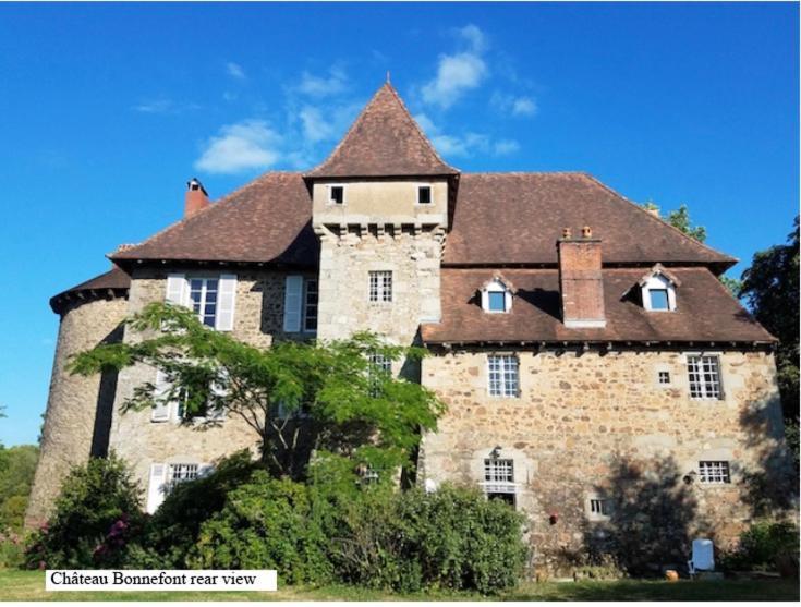 Chateau De Grand Bonnefont Limoges Eksteriør bilde